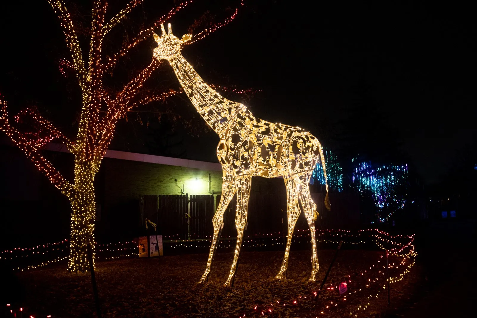 A giant giraffe sculpture made entirely of holiday lights